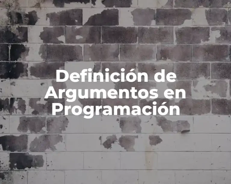 Definición de Argumentos en Programación