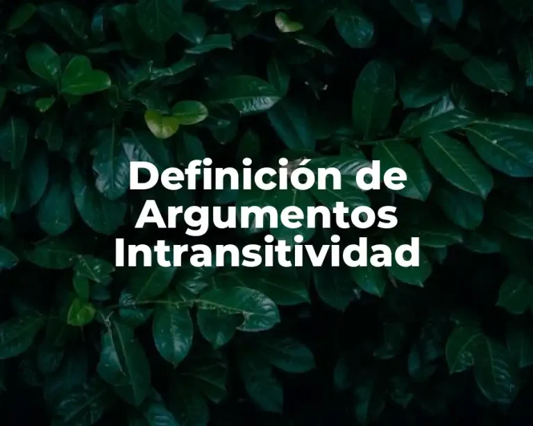 Definición de Argumentos Intransitividad
