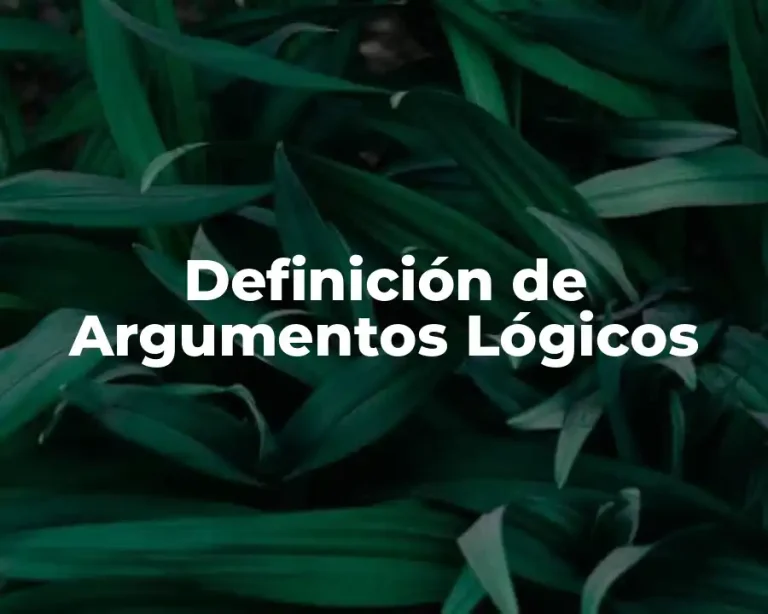 Definición de Argumentos Lógicos