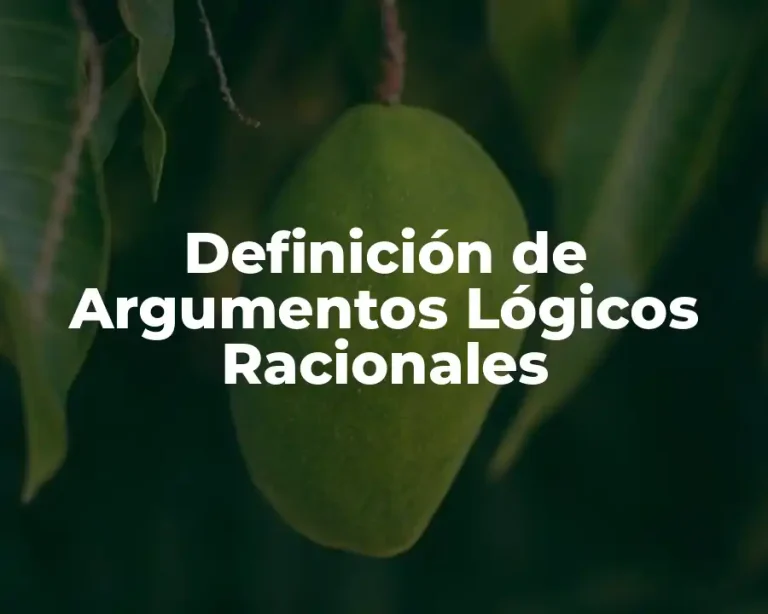 Definición de Argumentos Lógicos Racionales