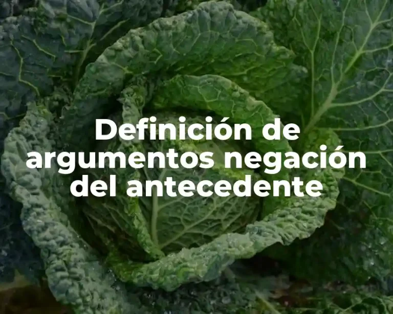 Definición de argumentos negación del antecedente
