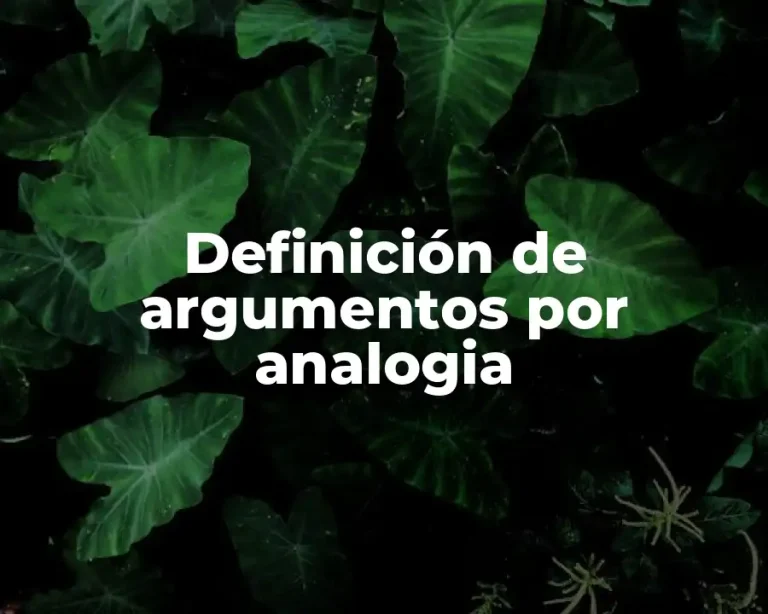Definición de argumentos por analogia