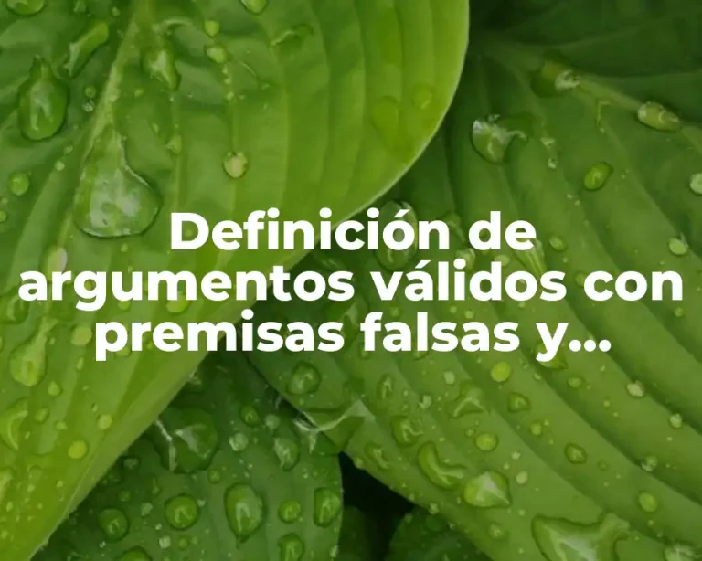 Definición de argumentos válidos con premisas falsas y conclusión verídica