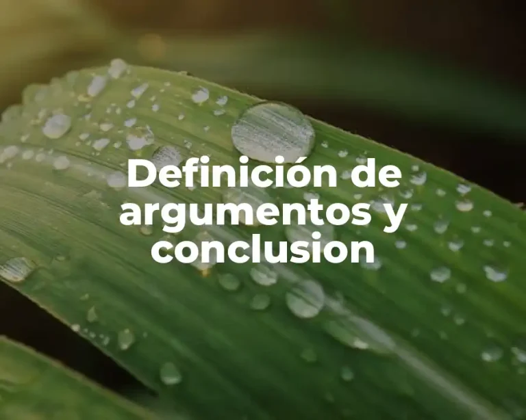 Definición de argumentos y conclusion