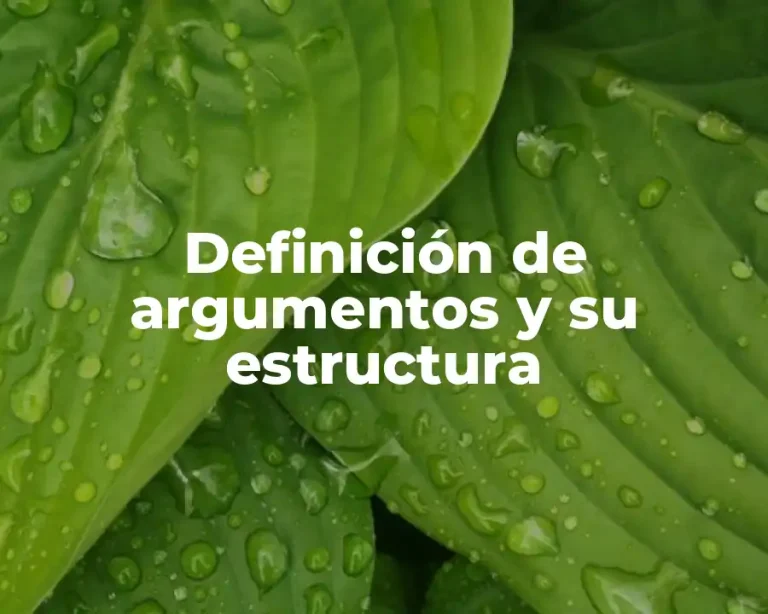 Definición de argumentos y su estructura