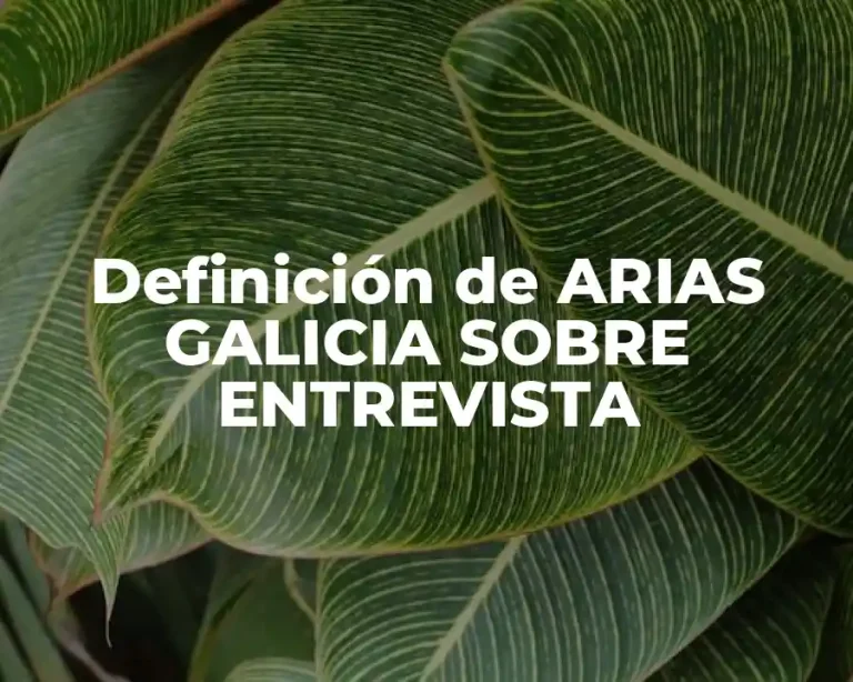 Definición de ARIAS GALICIA SOBRE ENTREVISTA