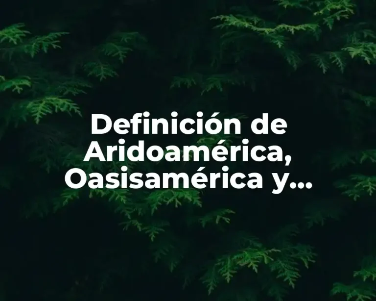 Definición de Aridoamérica, Oasisamérica y Mesoamérica