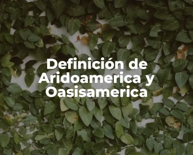 Definición de Aridoamerica y Oasisamerica