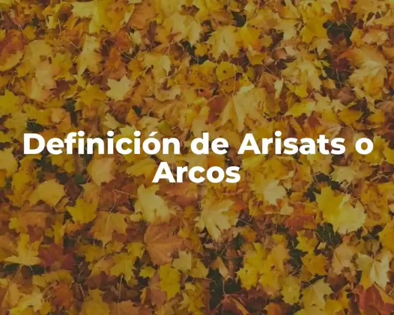 Definición de Arisats o Arcos