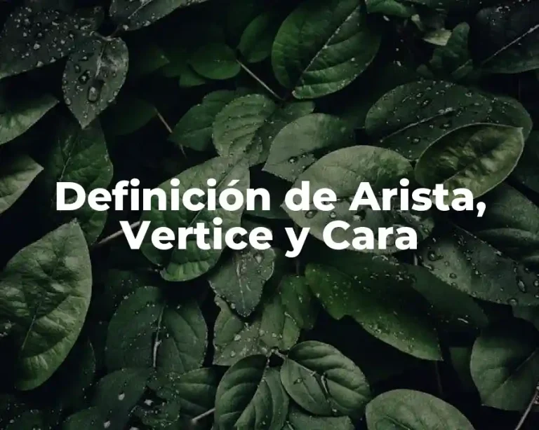 Definición de Arista, Vertice y Cara