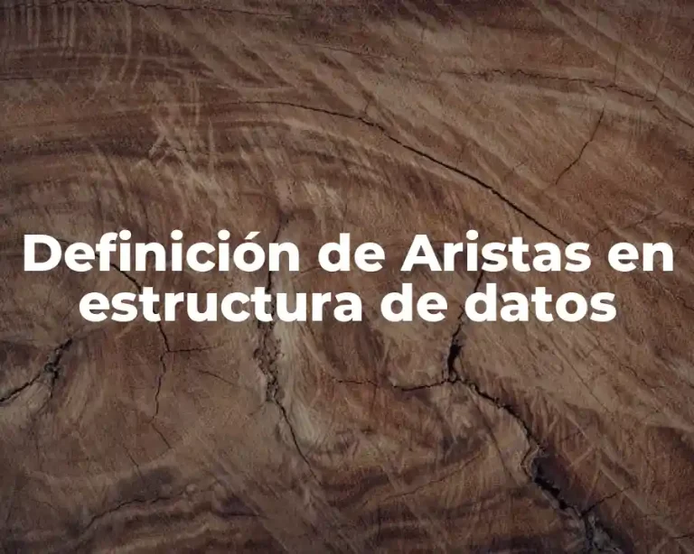 Definición de Aristas en estructura de datos