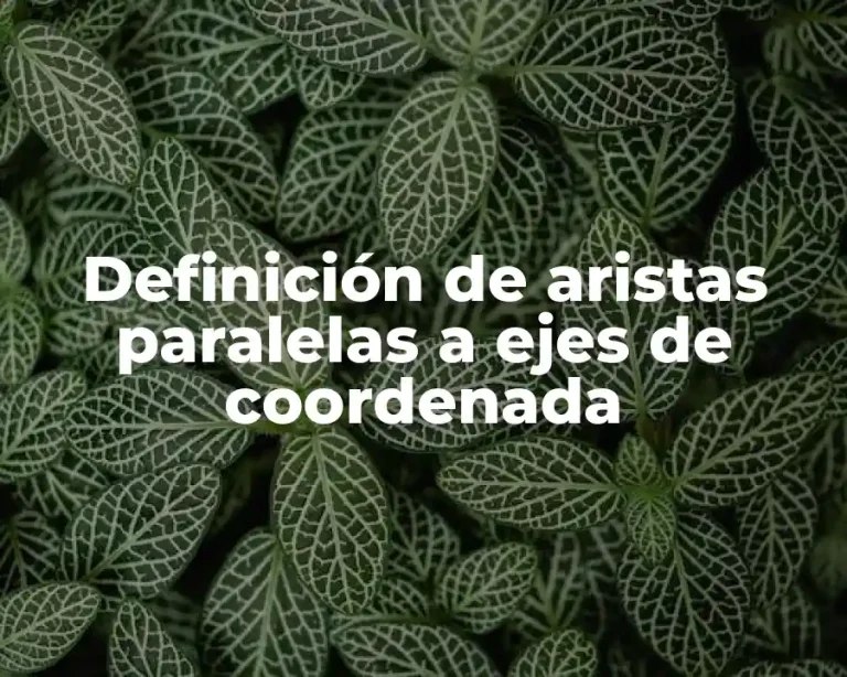 Definición de aristas paralelas a ejes de coordenada