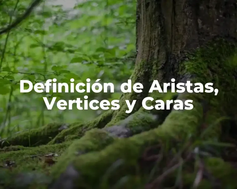 Definición de Aristas, Vertices y Caras
