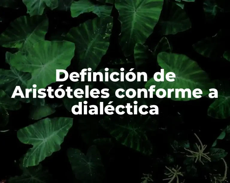 Definición de Aristóteles conforme a dialéctica