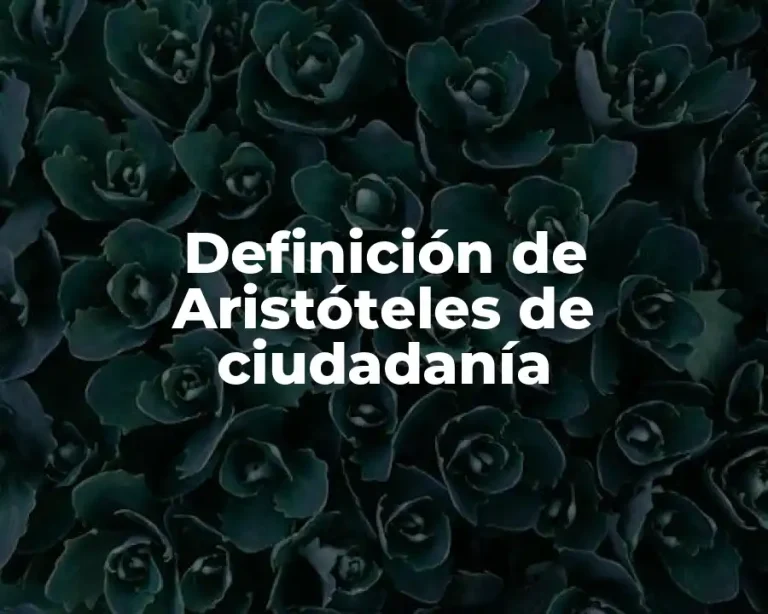 Definición de Aristóteles de ciudadanía