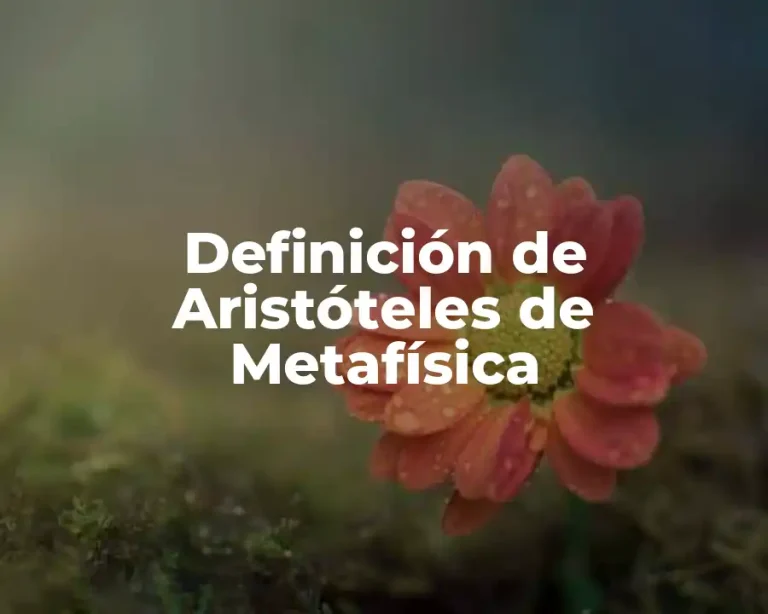 Definición de Aristóteles de Metafísica