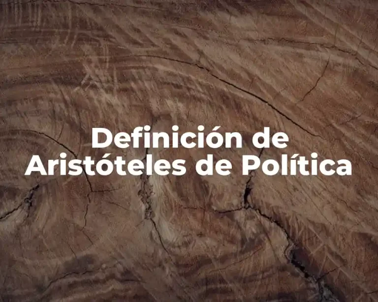Definición de Aristóteles de Política