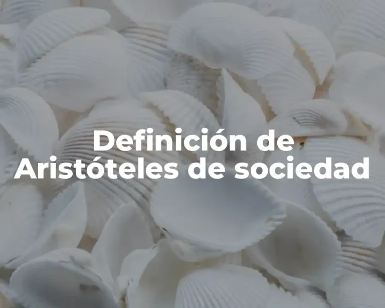Definición de Aristóteles de sociedad