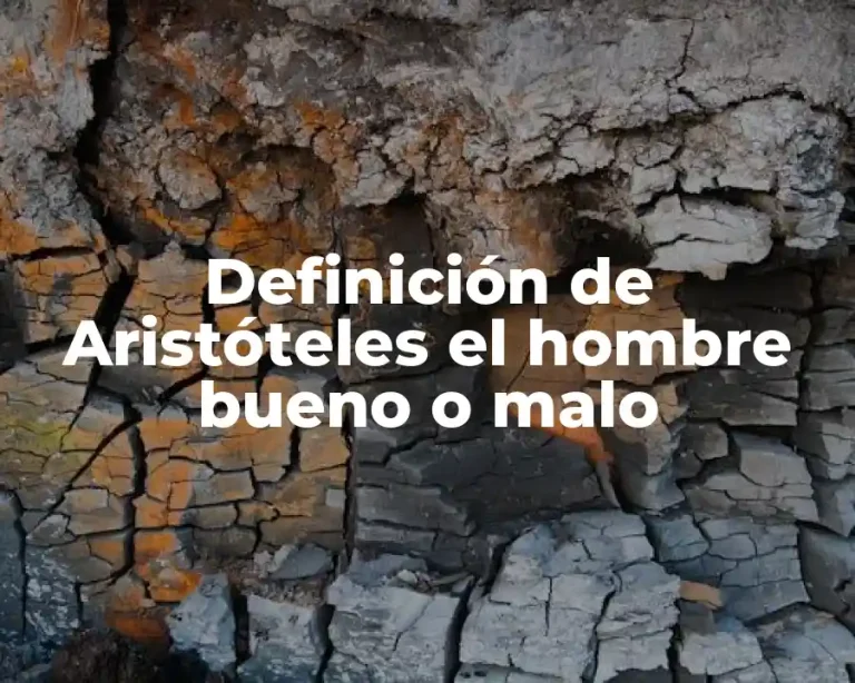 Definición de Aristóteles el hombre bueno o malo