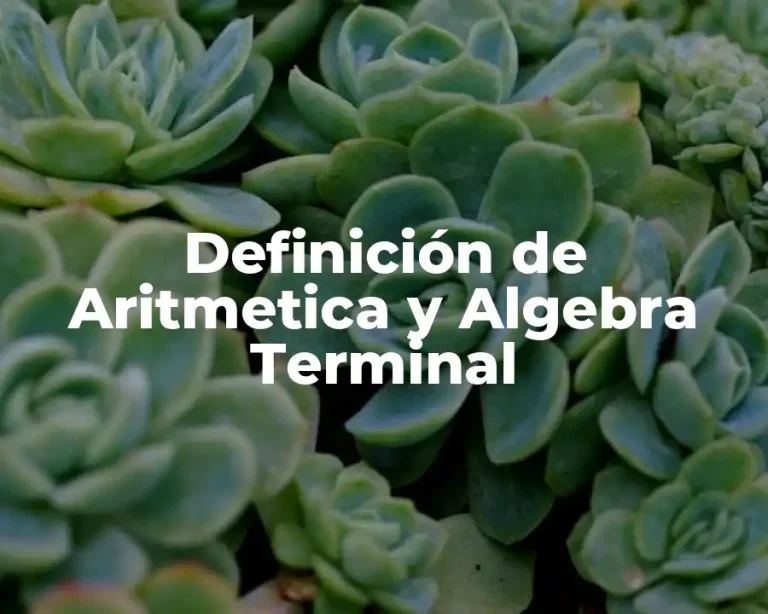 Definición de Aritmetica y Algebra Terminal