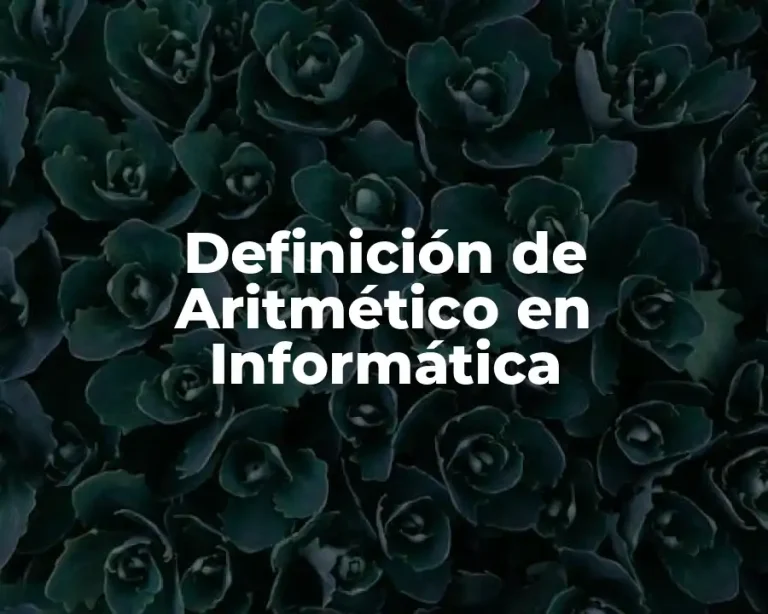 Definición de Aritmético en Informática