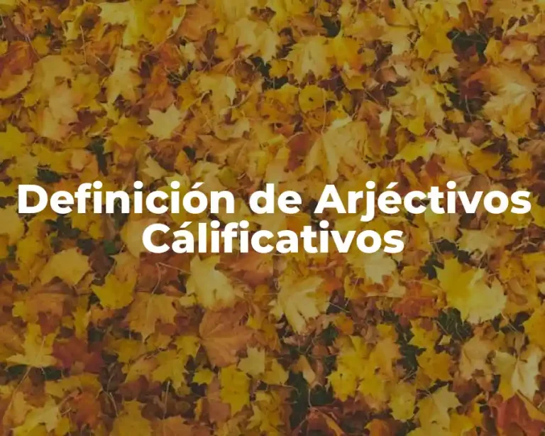 Definición de Arjéctivos Cálificativos