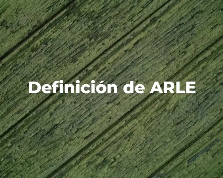 Definición de ARLE