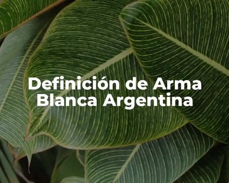 Definición de Arma Blanca Argentina