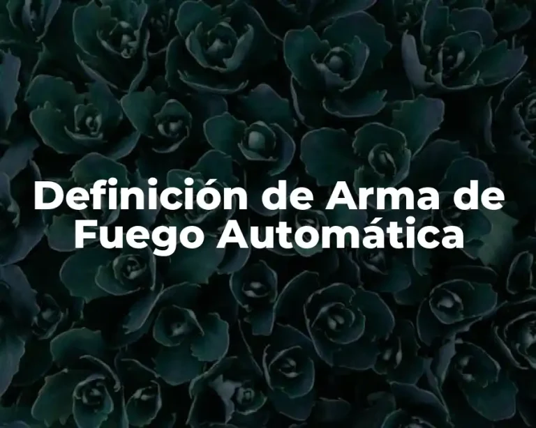Definición de Arma de Fuego Automática