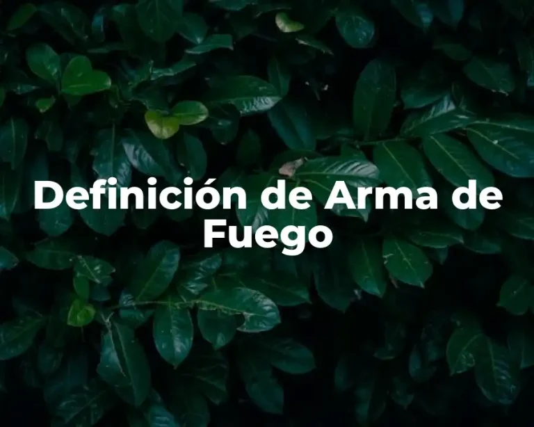 Definición de Arma de Fuego