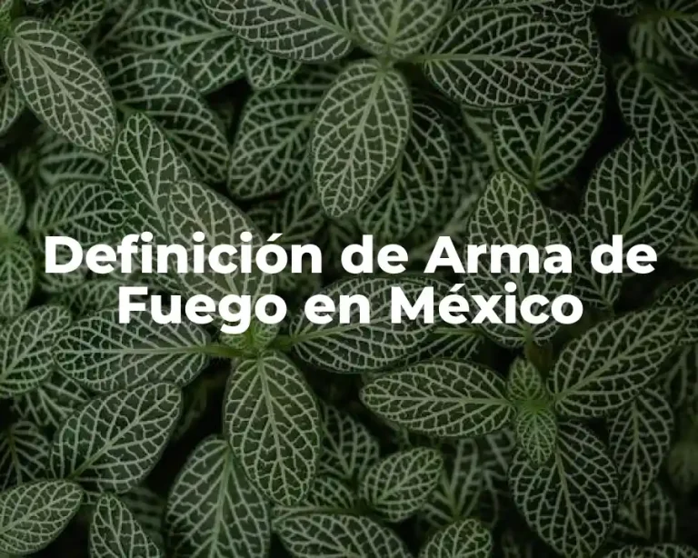Definición de Arma de Fuego en México