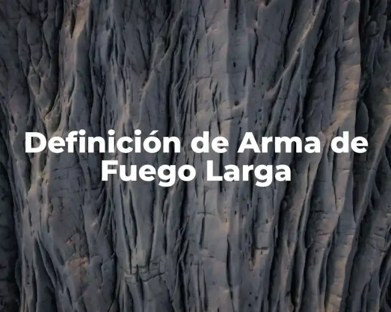 Definición de Arma de Fuego Larga