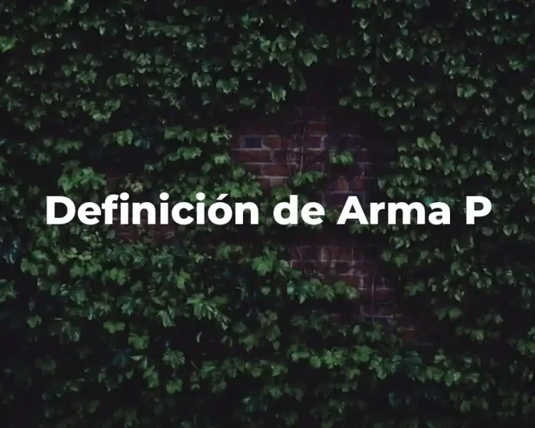 Definición de Arma P