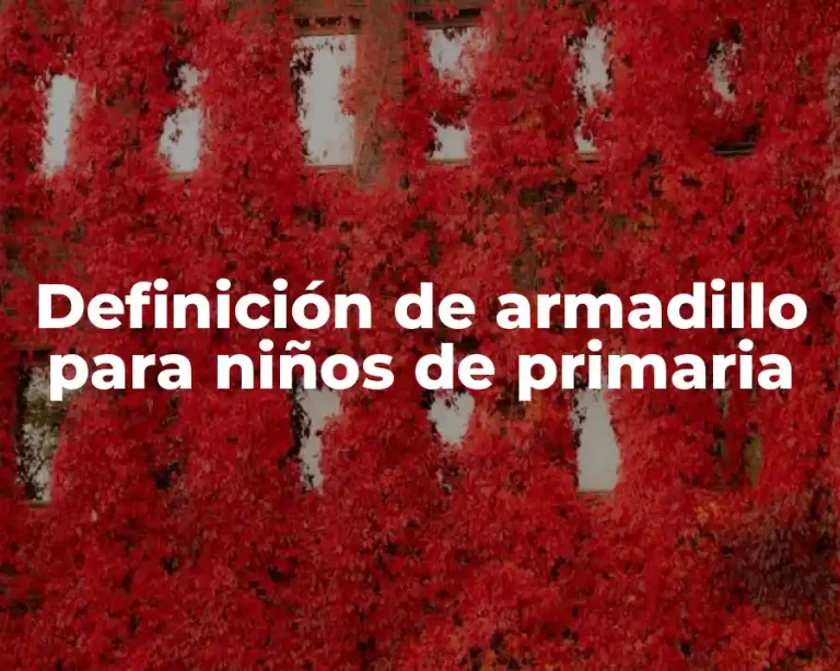 Definición de armadillo para niños de primaria