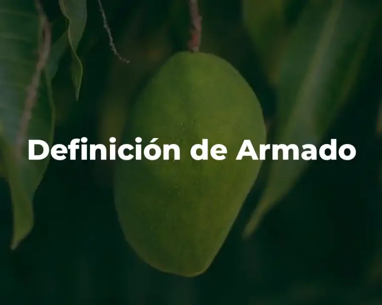 Definición de Armado