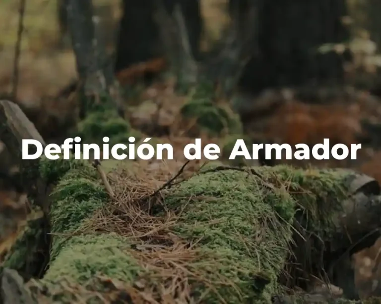 Definición de Armador