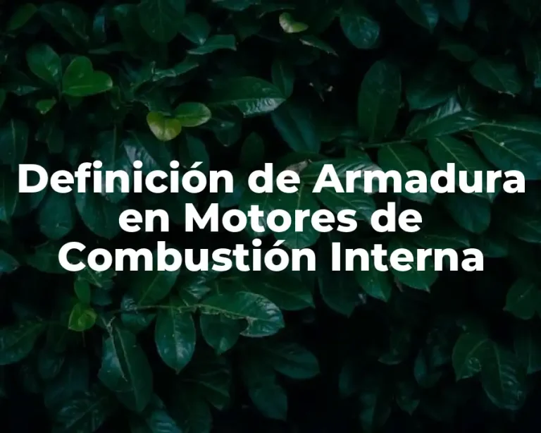 Definición de Armadura en Motores de Combustión Interna