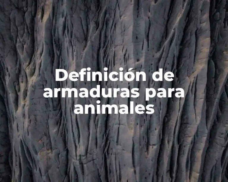 Definición de armaduras para animales