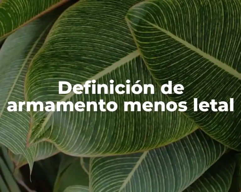 Definición de armamento menos letal