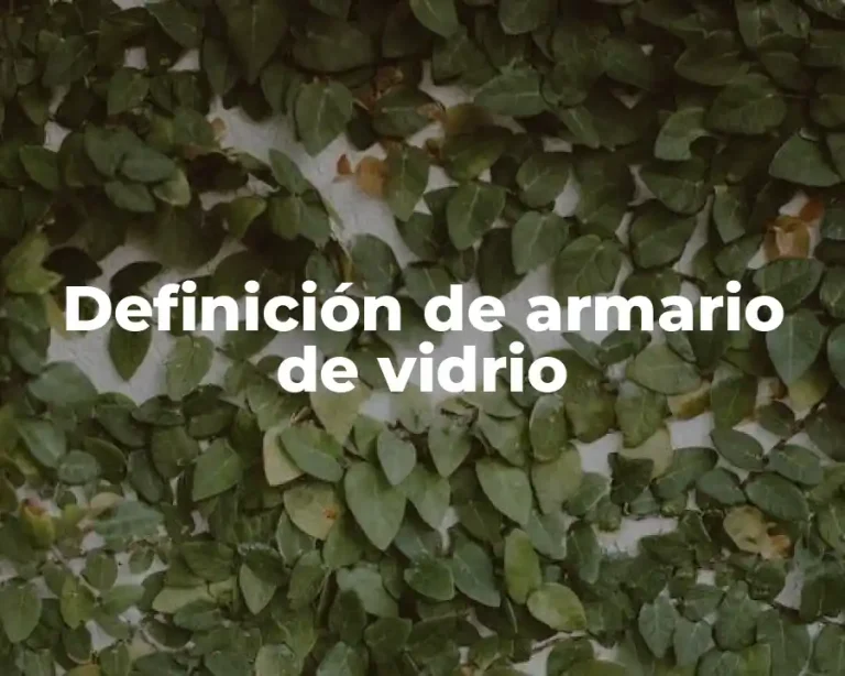 Definición de armario de vidrio