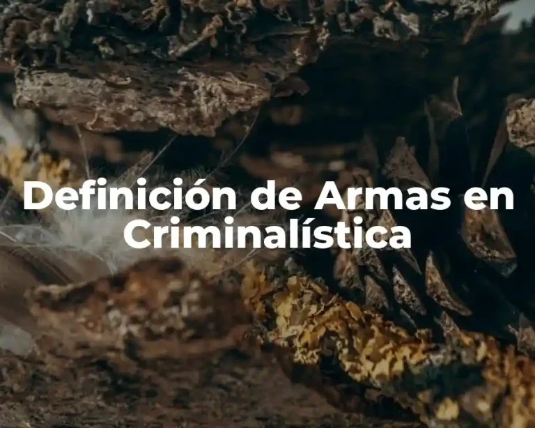 Definición de Armas en Criminalística