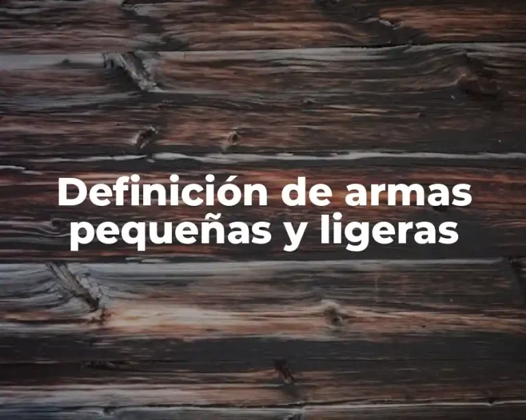 Definición de armas pequeñas y ligeras