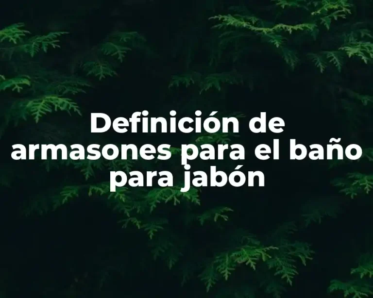 Definición de armasones para el baño para jabón