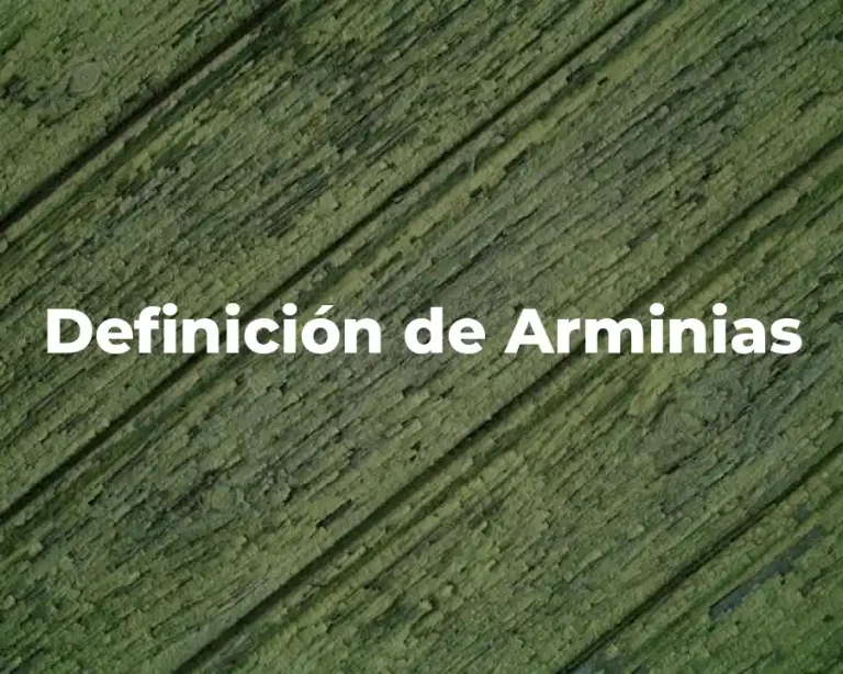 Definición de Arminias