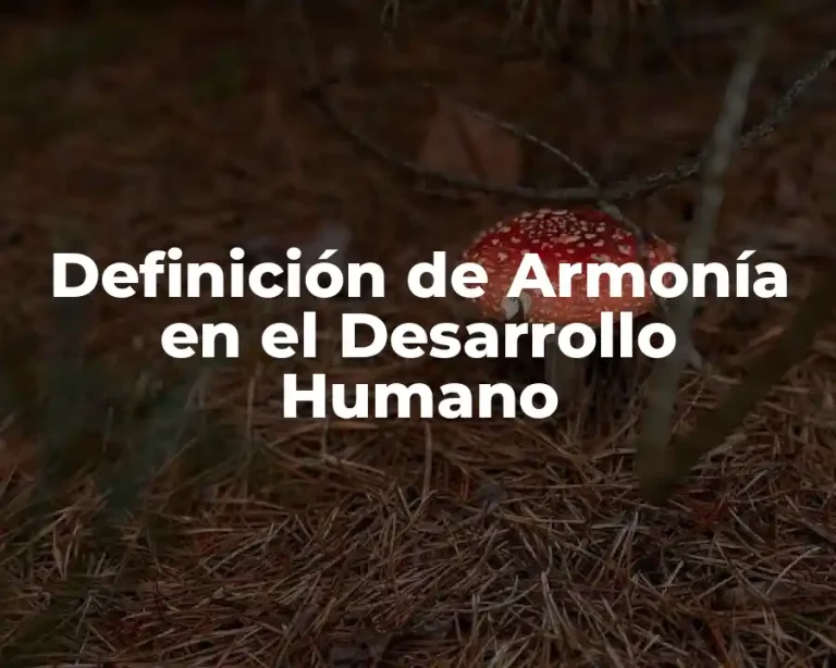 Definición de Armonía en el Desarrollo Humano