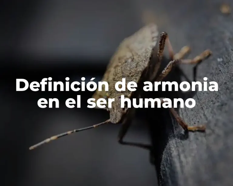 Definición de armonia en el ser humano