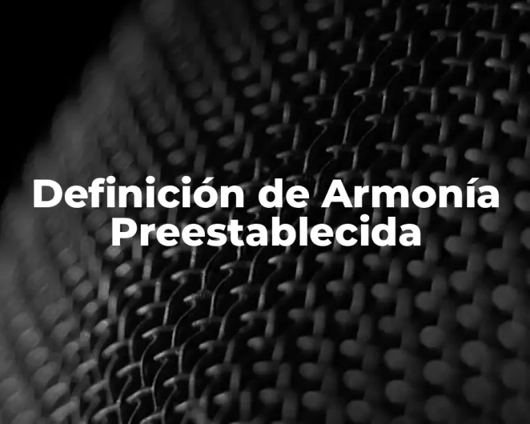 Definición de Armonía Preestablecida