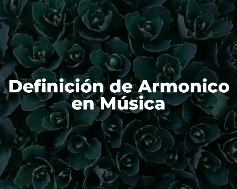 Definición de Armonico en Música