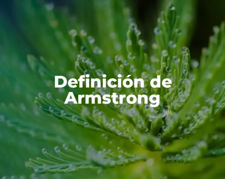 Definición de Armstrong