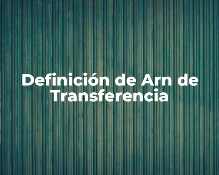 Definición de Arn de Transferencia